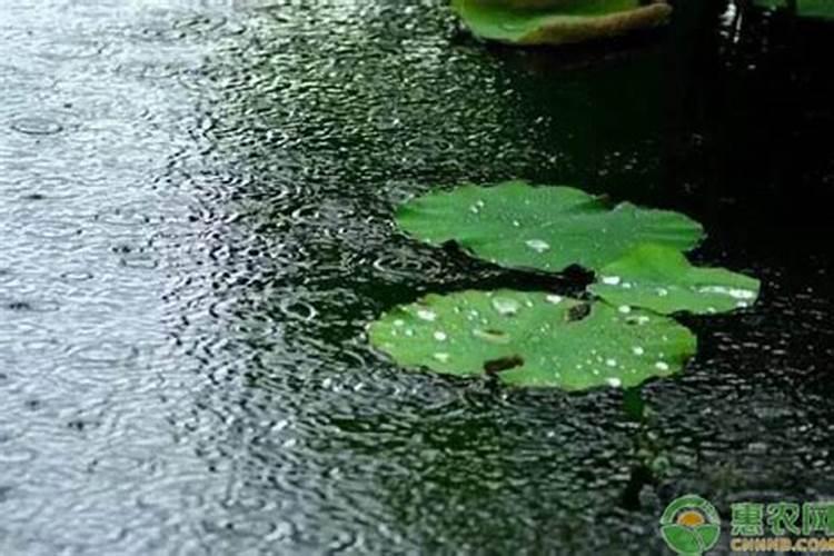 女人梦见下雨了被雨淋了什么意思啊周公解梦