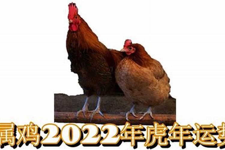 巨蟹座十一月感情运势2020