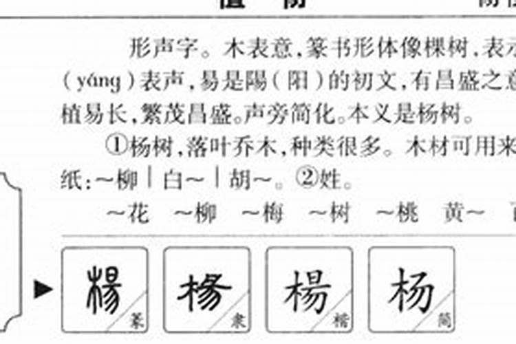 杨的五行属性