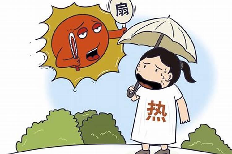 炎热天气生肖