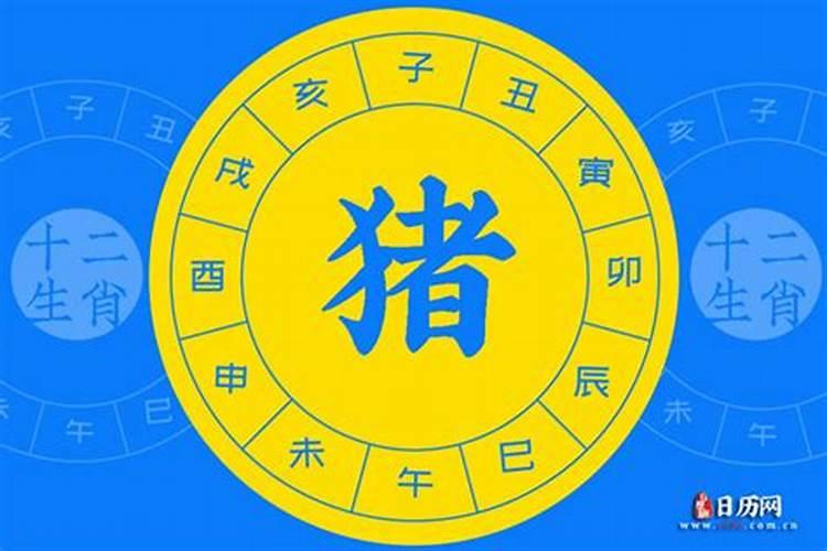 202191年属什么生肖