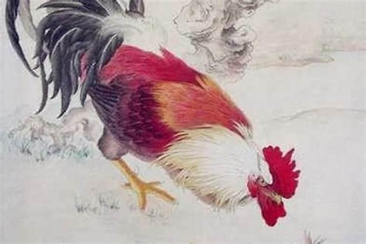 属虎人2022年每月运势大家找