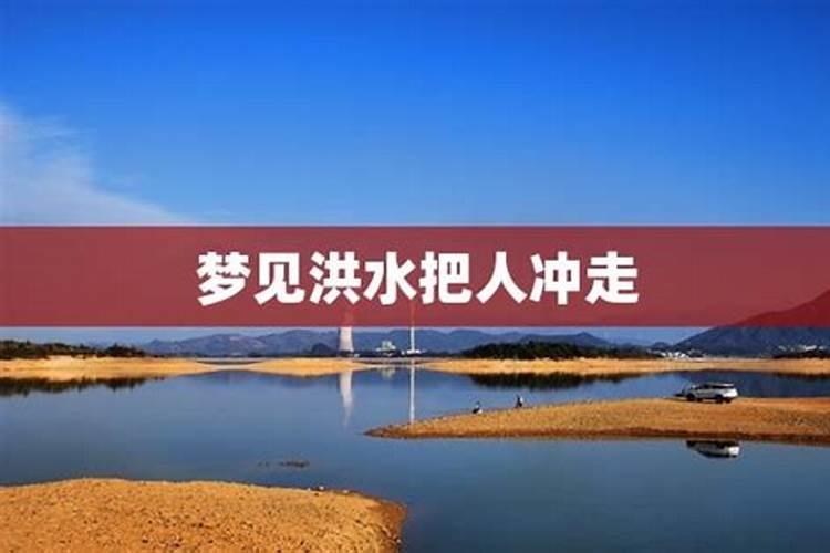 流年枭比什么意思代表什么