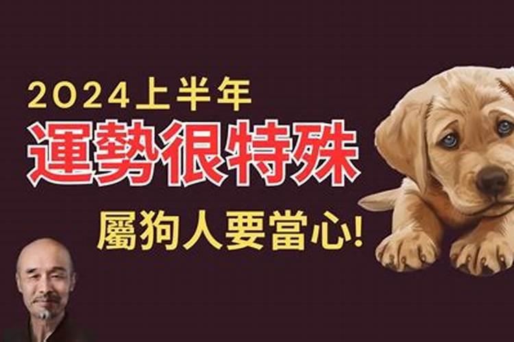 属相运程2023全年运程表