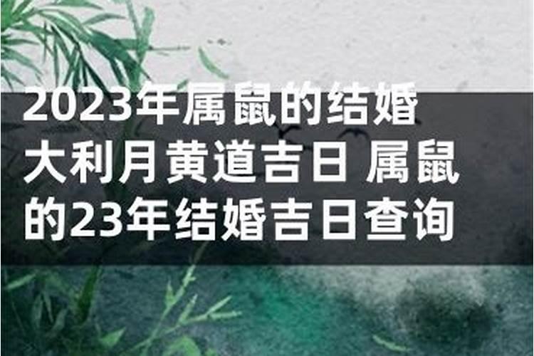 96年属鼠在2023年结婚好不好