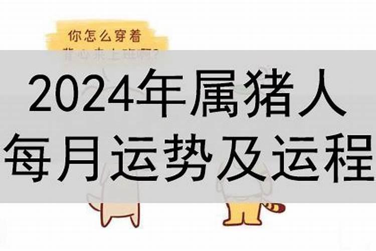 今年的五行属性是什么2023年的