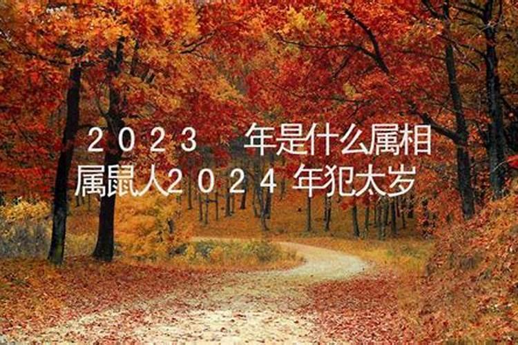 55岁2020年属什么生肖