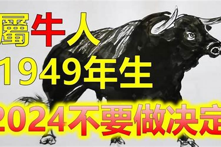 94年的多大了今年属什么