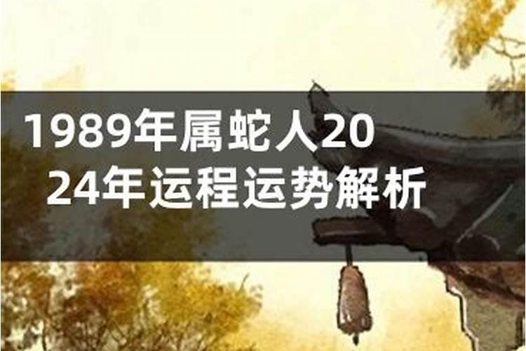 衣冠颜色的生肖是什么