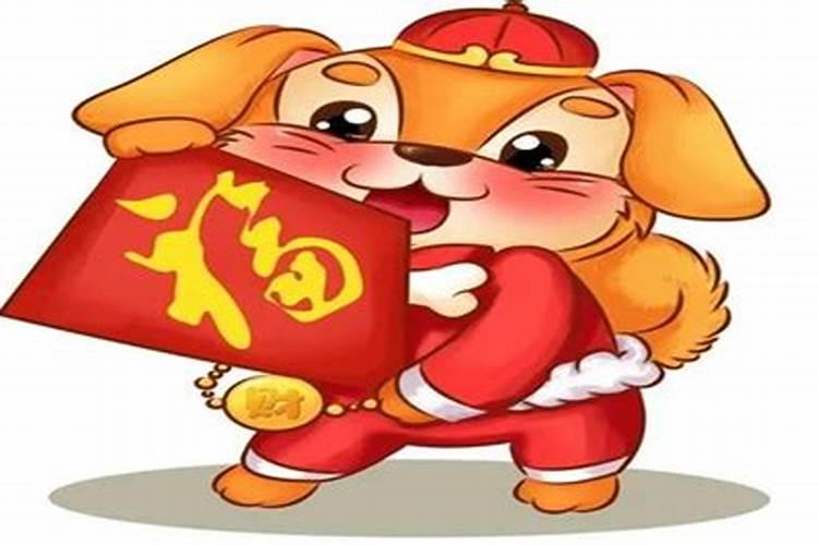 属猪今年穿什么颜色运动鞋