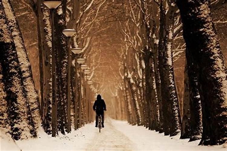 梦见骑车走在厚厚的雪地的路上
