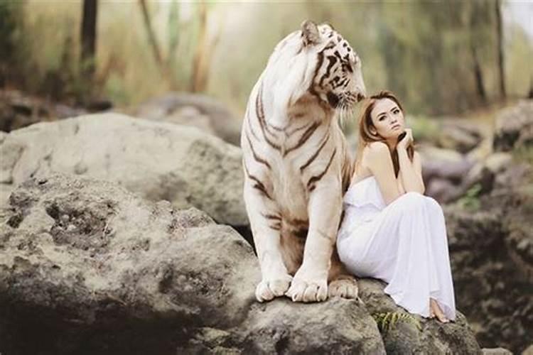 梦到老虎是什么征兆女性