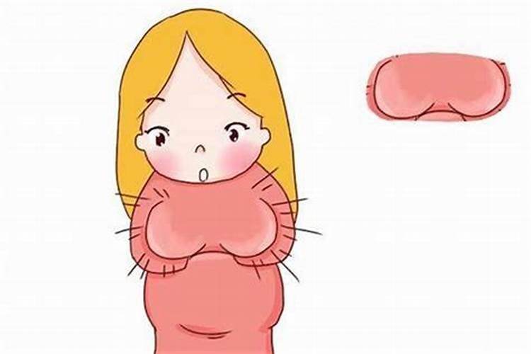 梦见女人乳房又圆又大