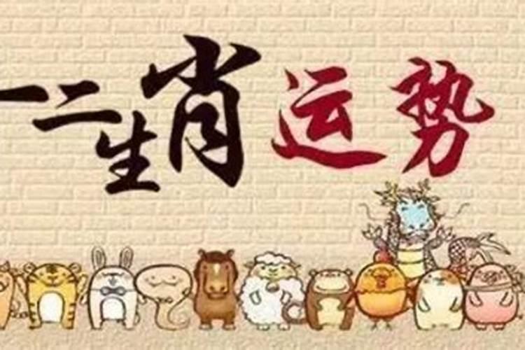 属猪今年有几岁了