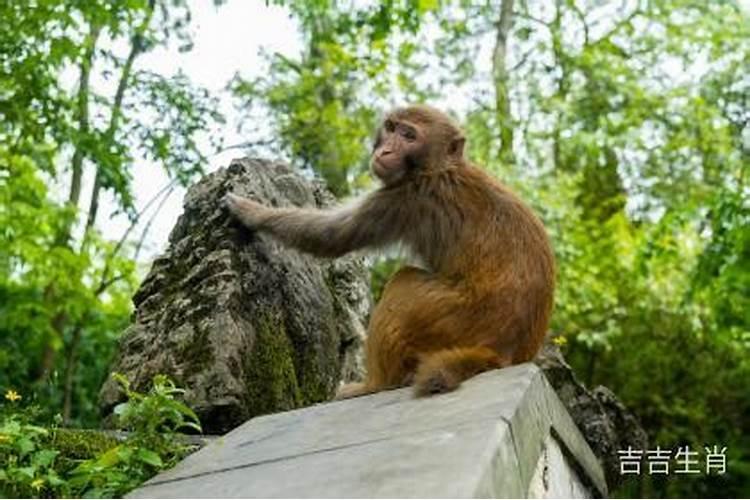 梦到陌生人纠缠自己