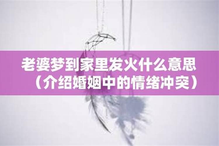 梦见别人家里发火是什么意思