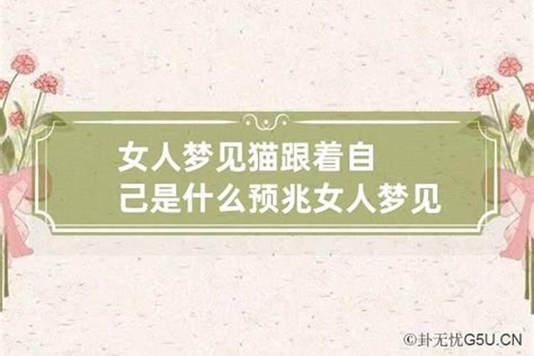 梦见别人伤害猫什么意思周公解梦