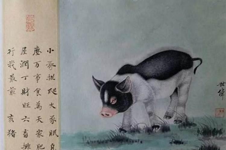 生辰八字三脚猪是什么意思