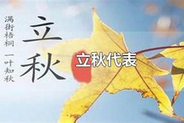 2023年属鸡在2023年运势如何