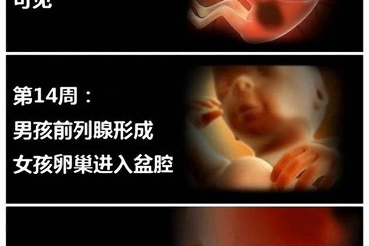 梦到死人火化是什么意思周公解梦