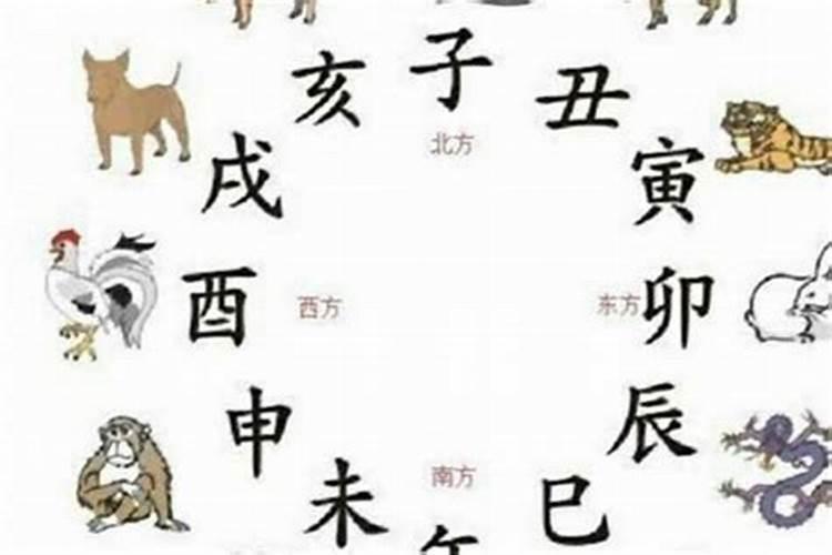 爸爸属猪儿子属虎八字合不合