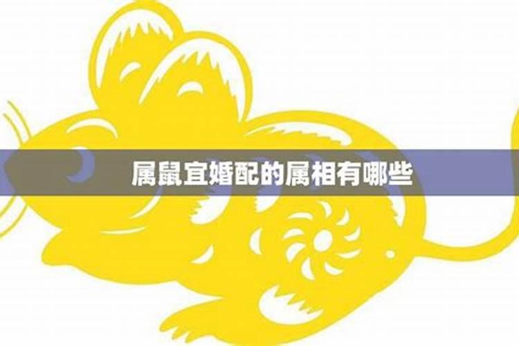 梦见被雷劈到了什么意思周公解梦