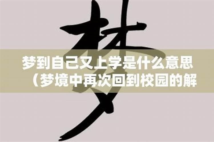 梦到自己重回校园上学了