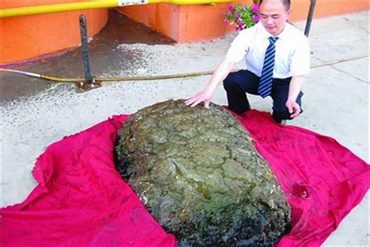 七夕节来源于哪个国家的节日