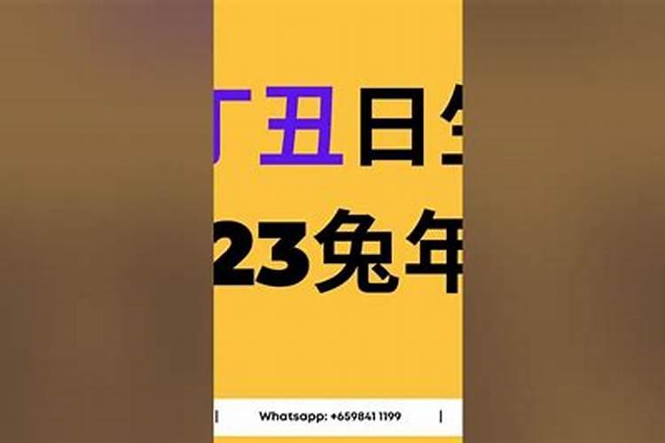 女生今年28岁属什么