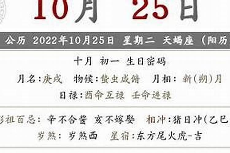 水瓶座2023年运势详解完整版桃白白