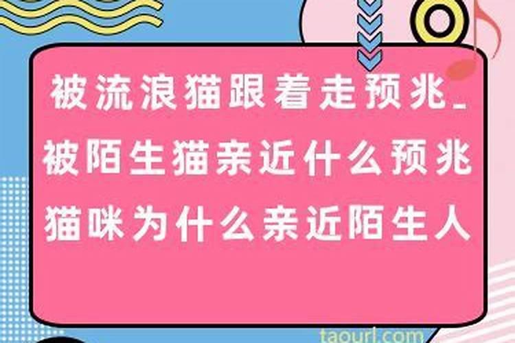 童子命送替身真的管用吗