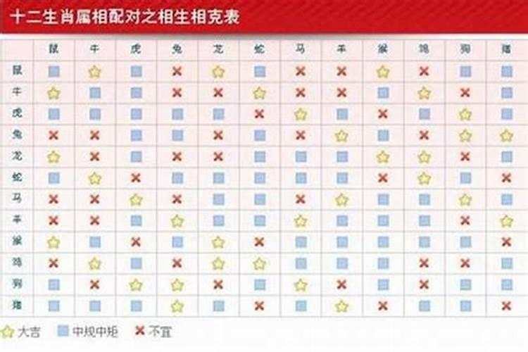 90年属马和94年属狗住的楼层哪个好