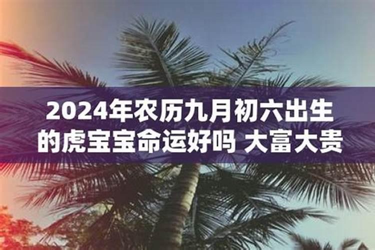 2020年46岁属什么的