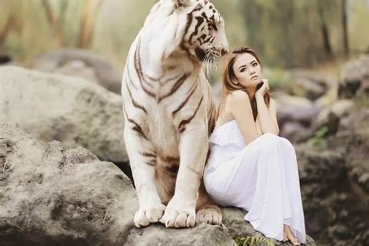 怀孕梦见老虎是什么征兆