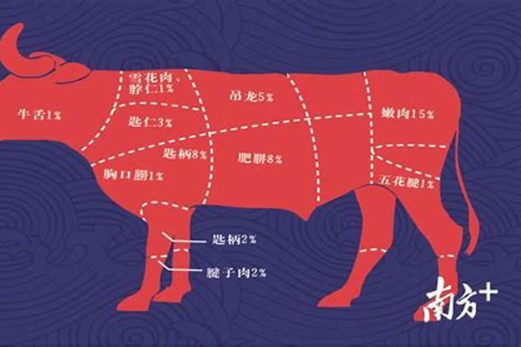 肉八字算命怎么算