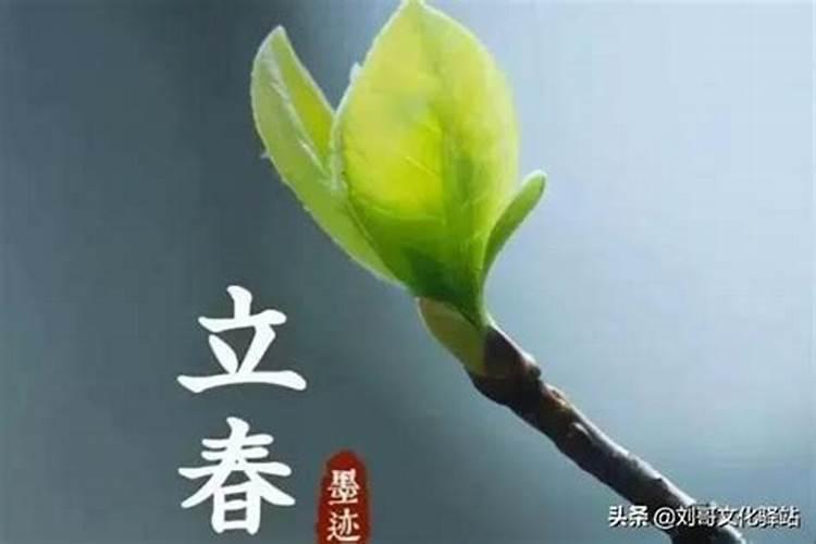 2月4日立春的含义