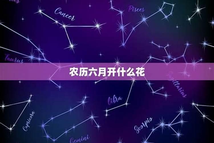 阳历6月12星座