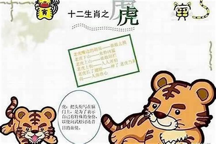 乔迁之喜猜一生肖