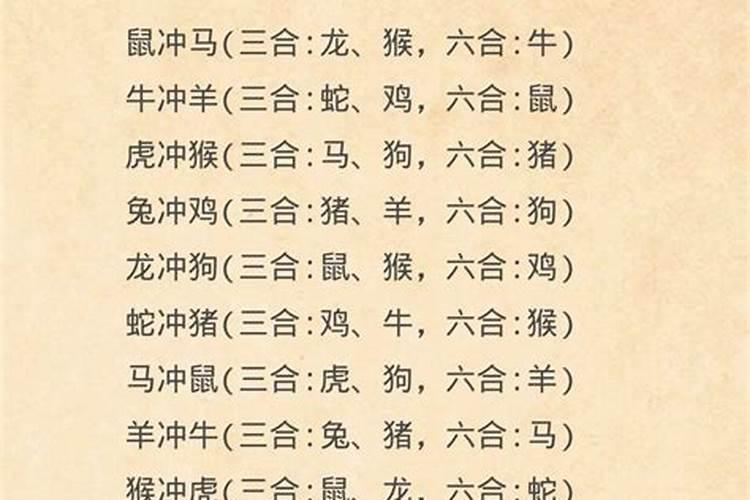 刘备代表什么生肖或数字