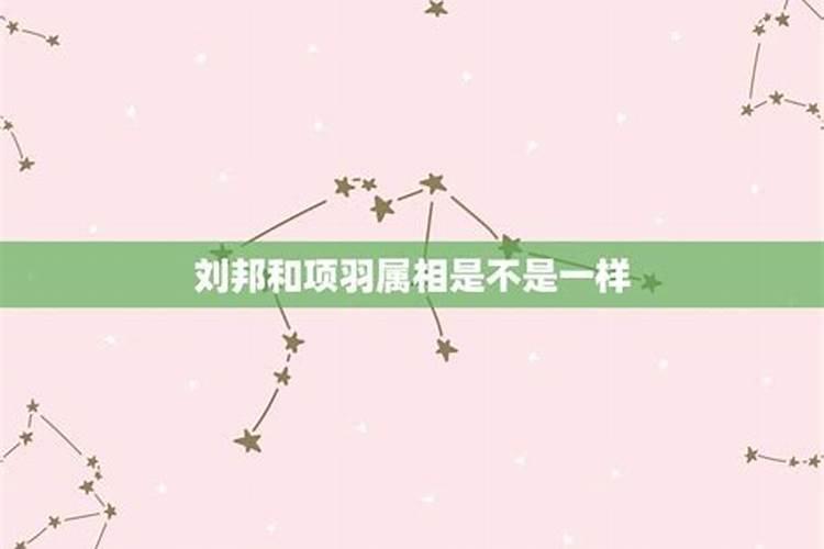 项羽属什么生肖打一生肖