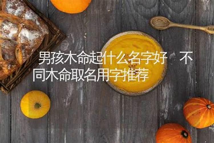 属鸡木命起什么名字好