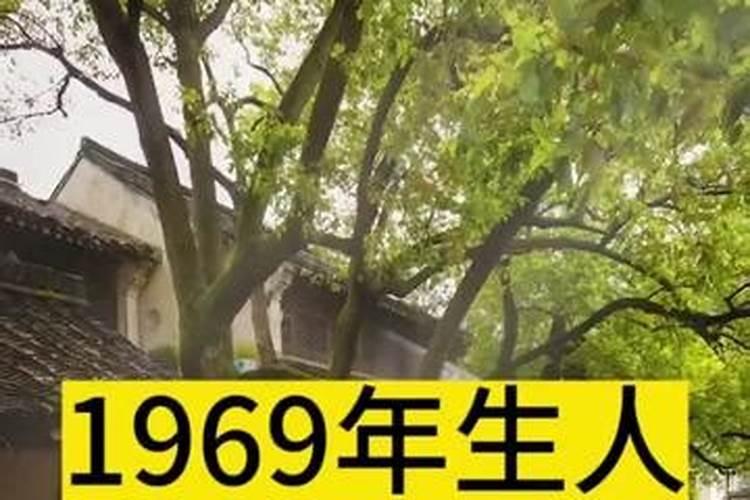 2023年属猪3月运程如何