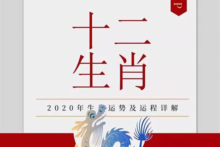 属龙人2020年财运