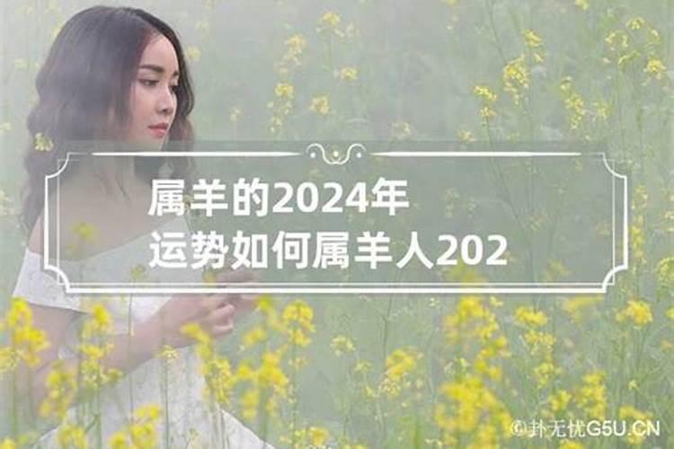 2024哪个几个生肖犯太岁