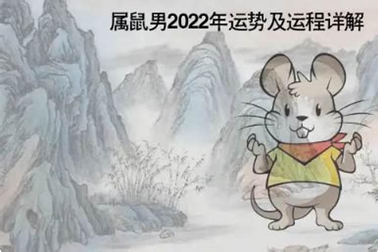 2022鼠人运势颜色