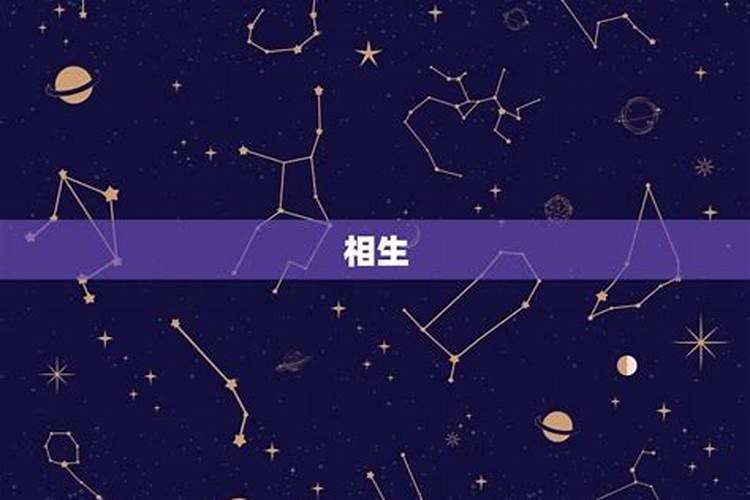 天蝎座相生相克的星座