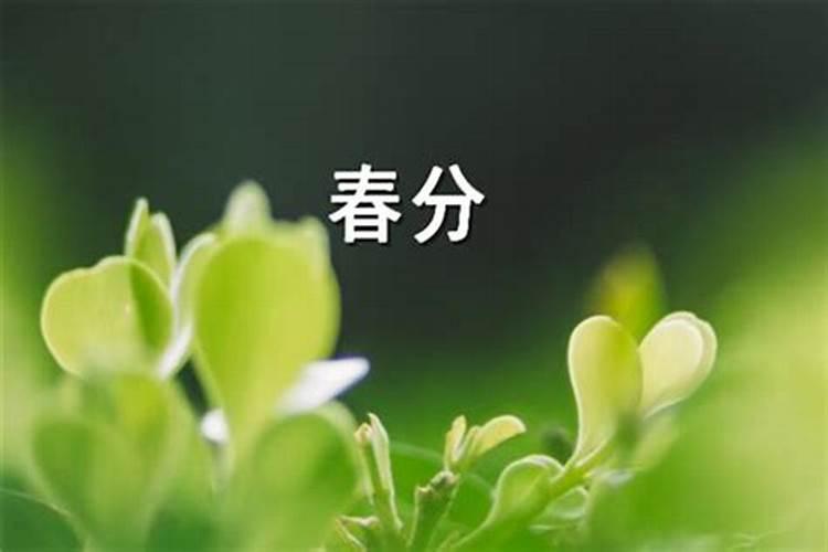 立春和春节哪个在前