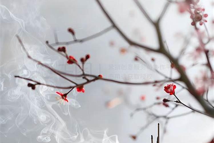 清明节祭拜祖先数字