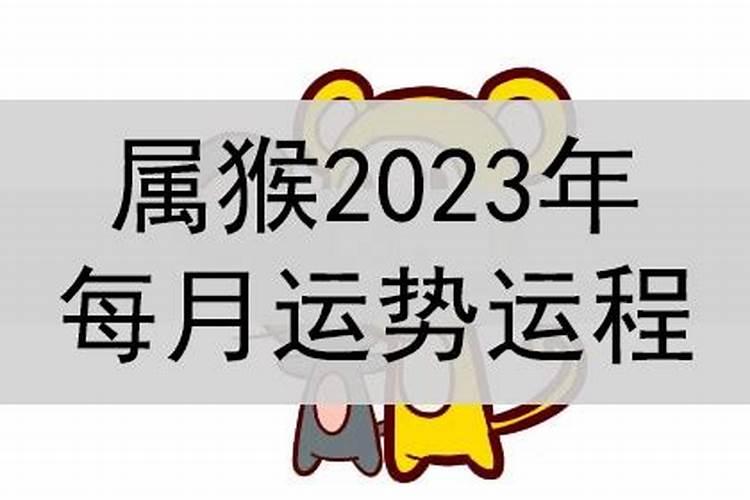 属猴人2023年运势详解