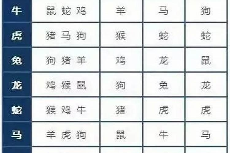 明年财运好的八字